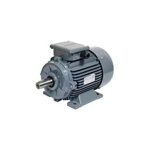 Gamak AGM3EL 100 L 2a 3 KW 3000 D 380 V (Trifaze) Motor